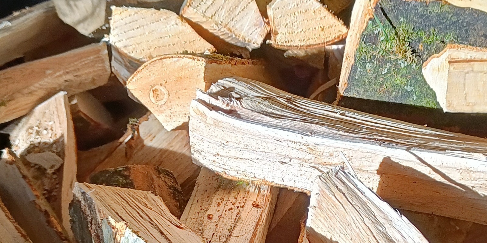 Eschenbrennholz 25cm / 33cm Scheite